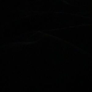 Meet your Posher, Desiree